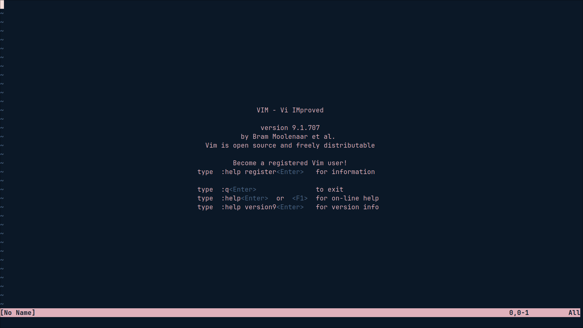 Vim Initial Window